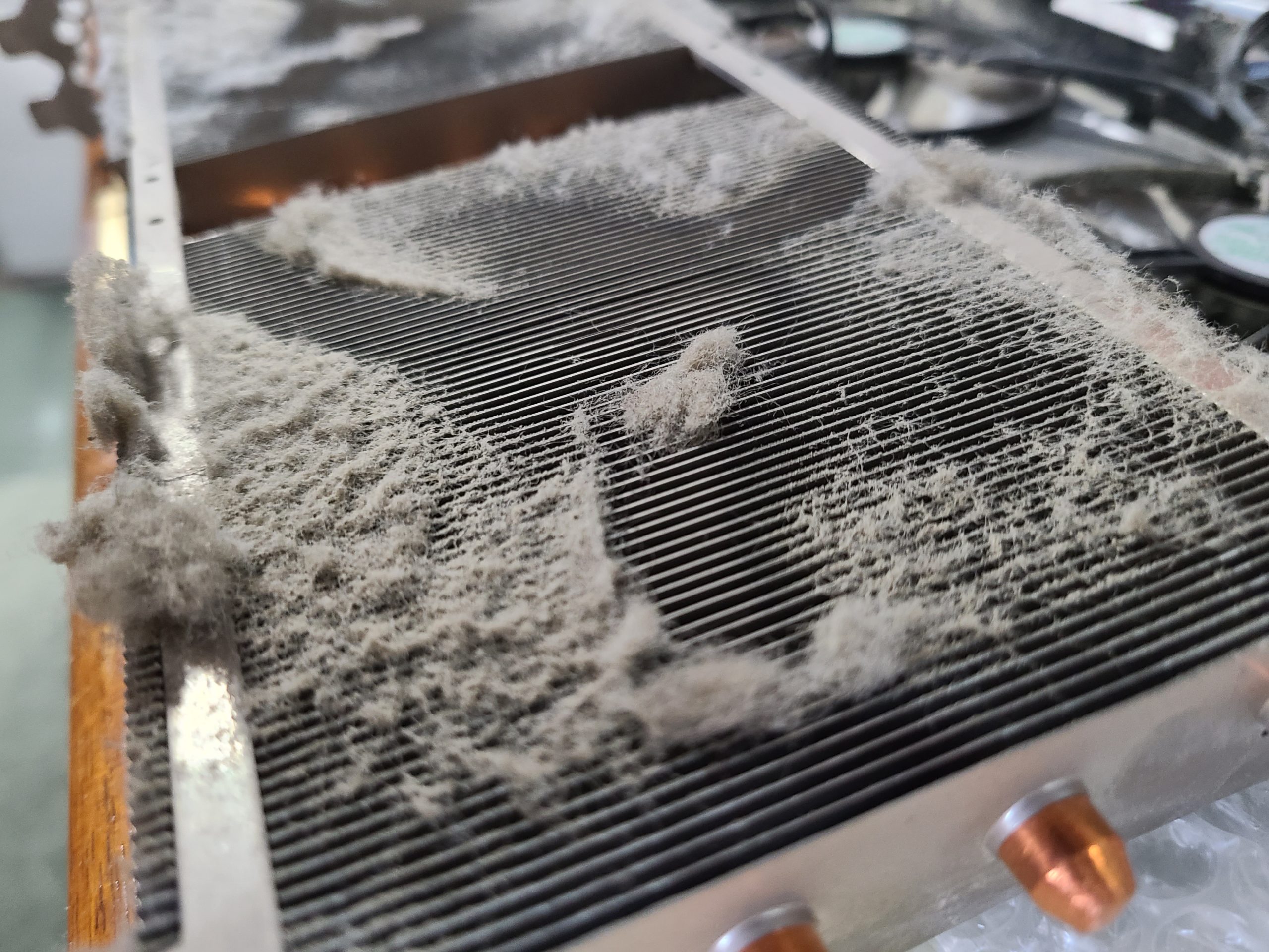 ホコリまみれのグラボ